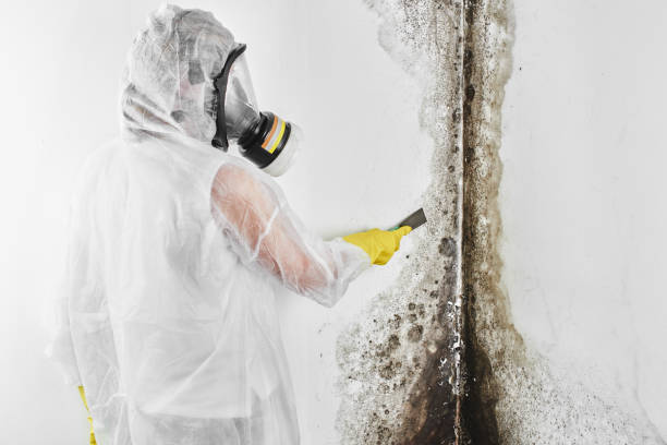 Elk Plain, WA Mold Remediation Company