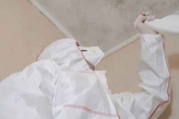 Best Insurance-Related Mold Remediation in Elk Plain, WA