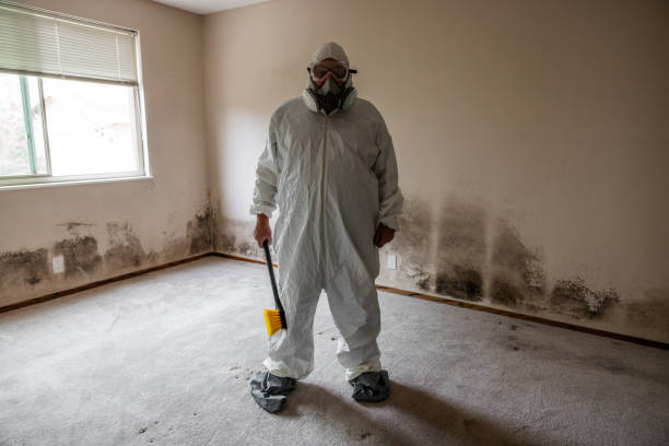 Best Residential Mold Remediation in Elk Plain, WA